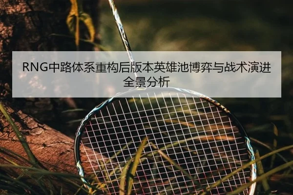 RNG中路体系重构后版本英雄池博弈与战术演进全景分析